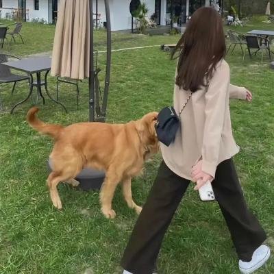 不正常小姐